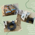 Programa Escolar de Consumo de Frutas, Hortalizas y Leche.
